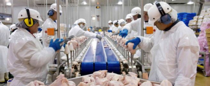 ส่งออกและติดตั้งเครื่องจักรให้กับลูกค้าต่างประเทศ